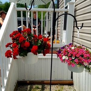 Meet your Posher, Dianne